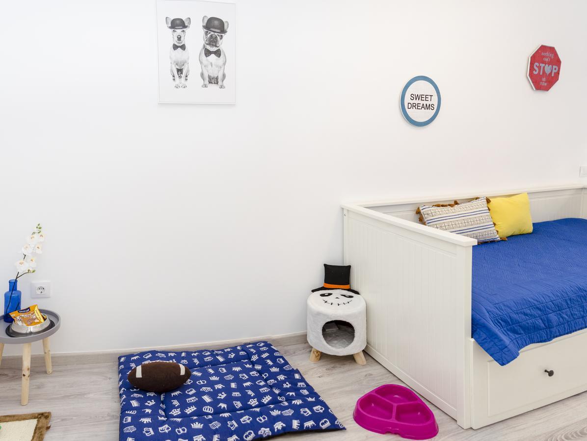 Apartup Viveros Pets Валенсия Екстериор снимка