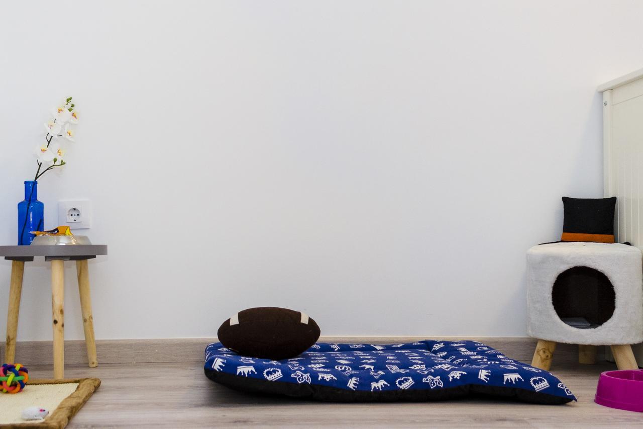 Apartup Viveros Pets Валенсия Екстериор снимка